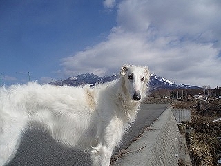 c0114833_0305286.jpg