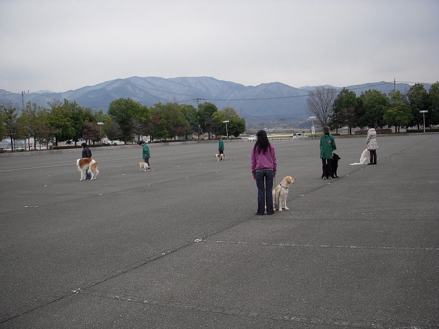 c0114833_902316.jpg