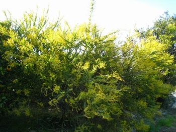 c0134734_1872591.jpg