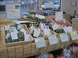 f0167635_6492256.jpg