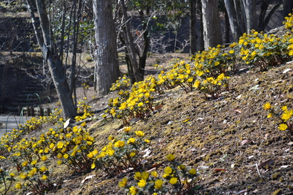 e0228938_1846207.jpg