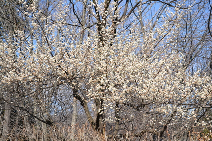 e0228938_1852351.jpg