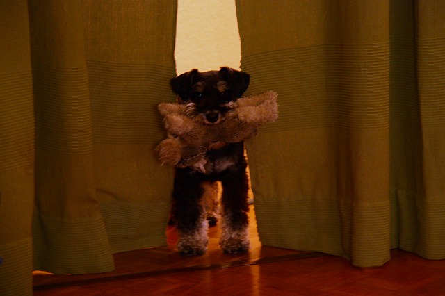 c0153740_048127.jpg