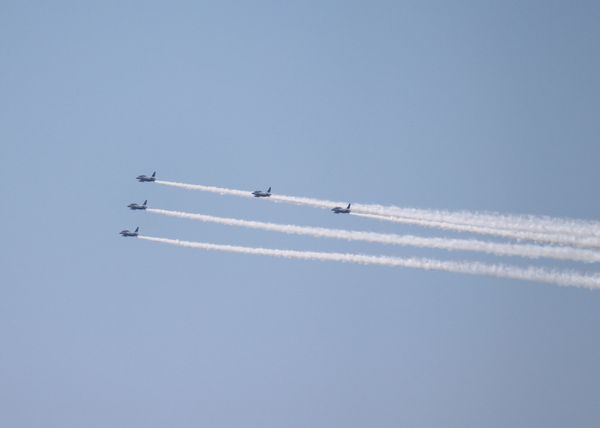 a0090451_1311942.jpg