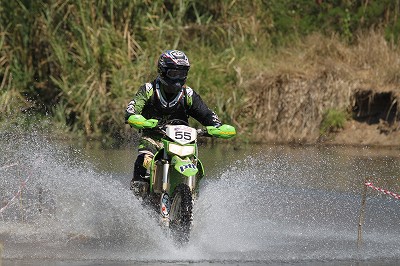 c0042655_8164348.jpg
