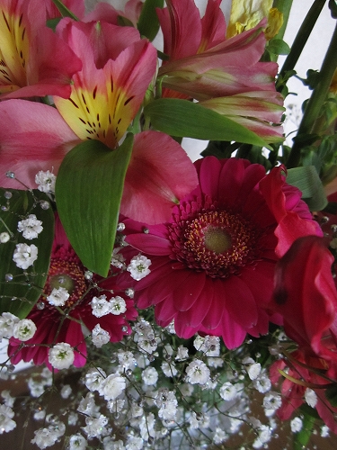 a0066258_20242628.jpg