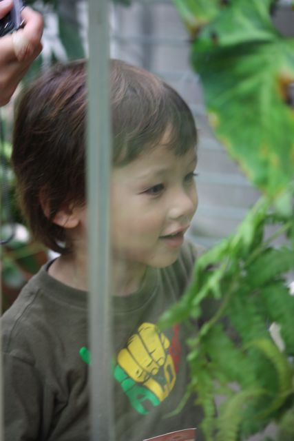 a0048361_1284320.jpg