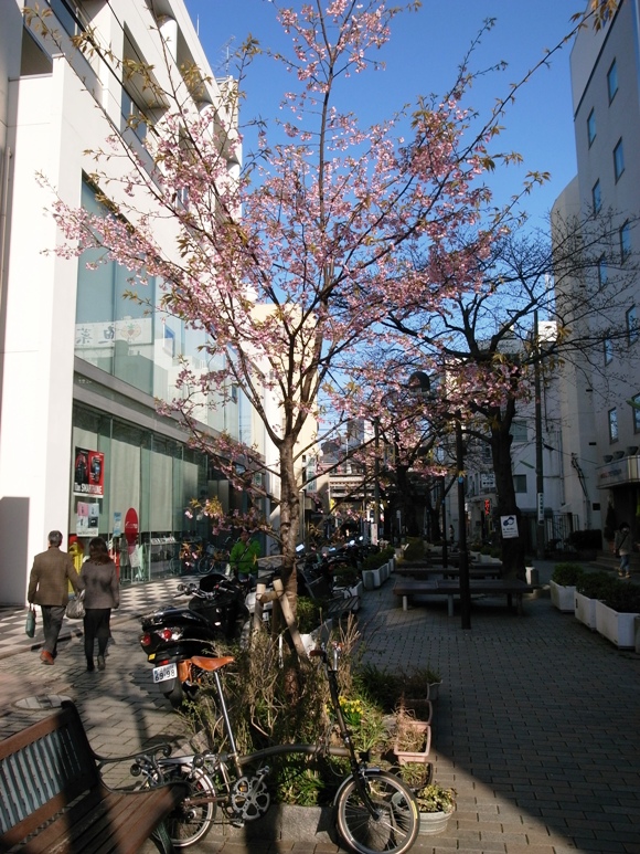 f0178061_18302397.jpg