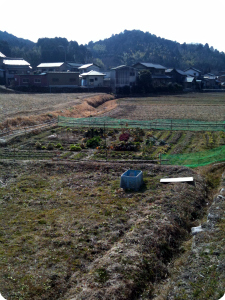 b0194867_12414242.jpg