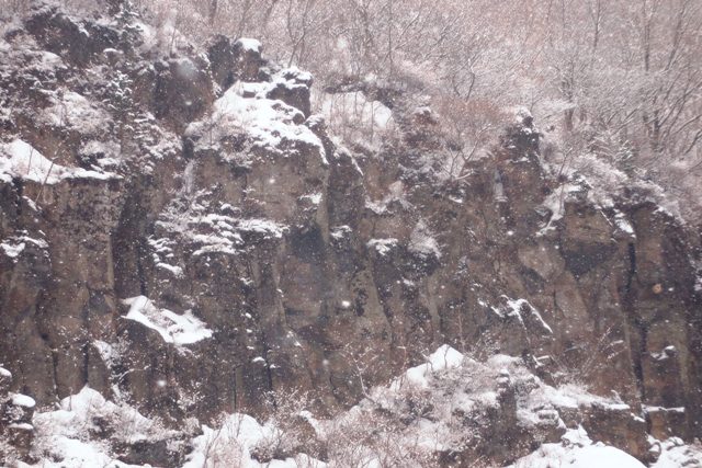 f0139282_15304490.jpg