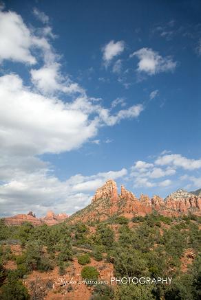 e0148185_1595142.jpg