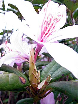 c0064389_12582591.jpg