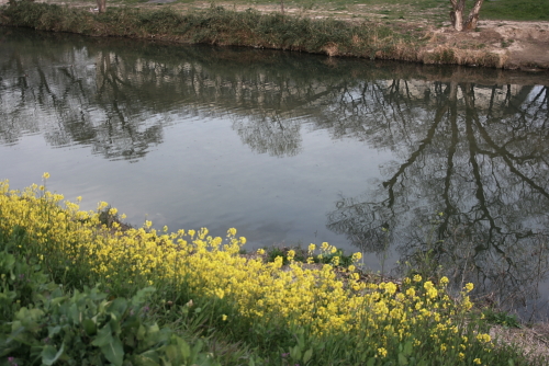 c0129498_1212757.jpg