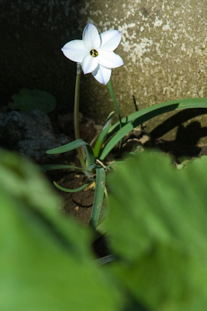 f0239100_15301019.jpg