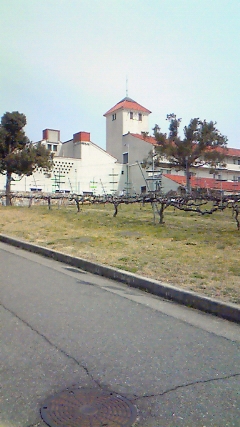 b0008103_2345115.jpg