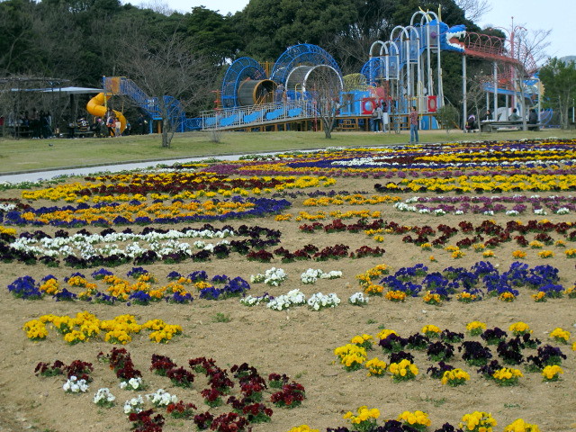 c0036203_17521532.jpg