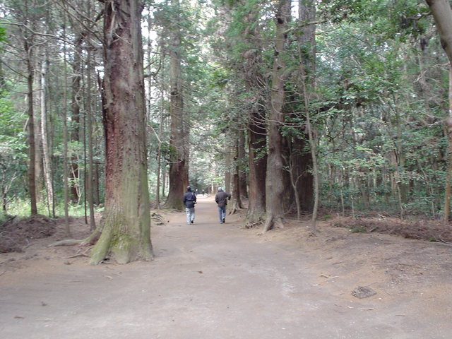 a0116205_0353225.jpg