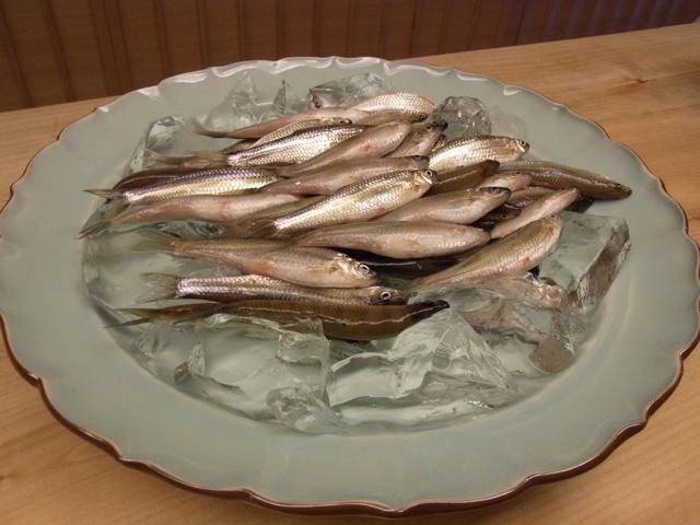 a0091907_23281261.jpg