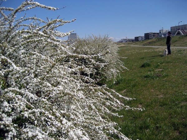 e0127409_23162421.jpg