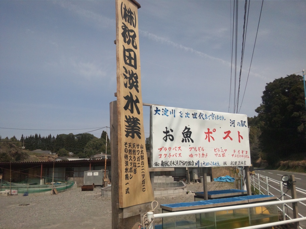 d0119915_1424227.jpg