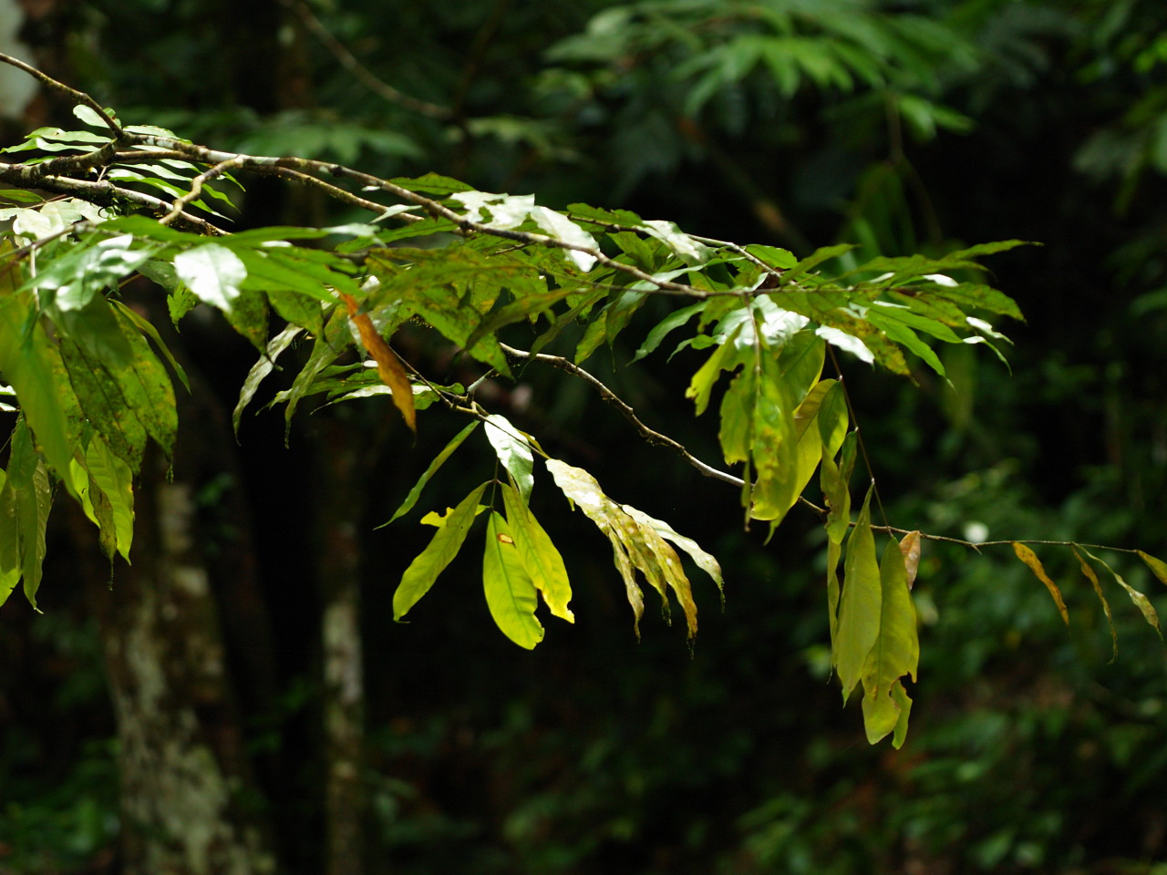 b0168218_050277.jpg
