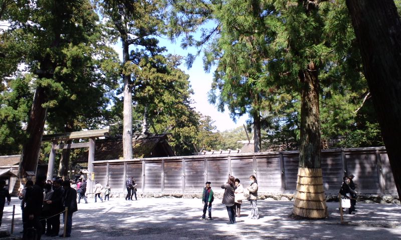 e0023419_20283119.jpg