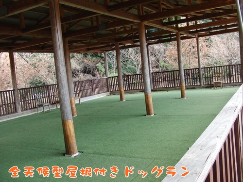 e0179321_21474271.jpg
