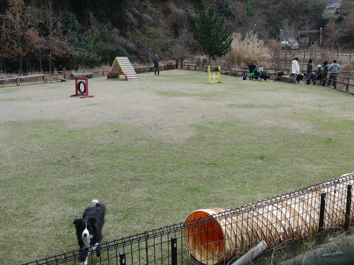 e0179321_21481343.jpg