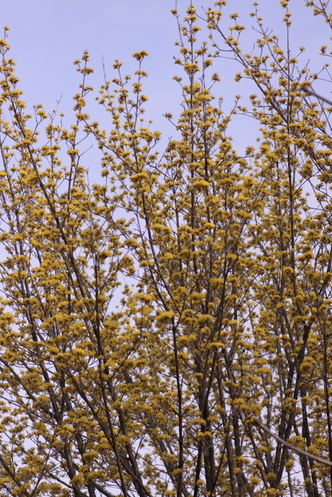 b0165522_812679.jpg