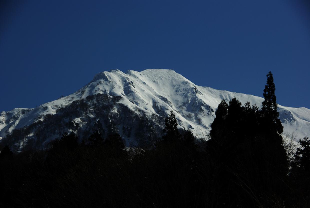 b0062024_854078.jpg