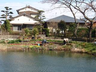 b0008825_105175.jpg