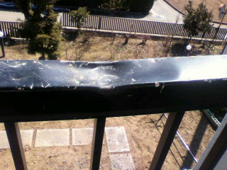 c0074025_2172577.jpg