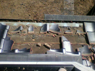 c0074025_2181016.jpg