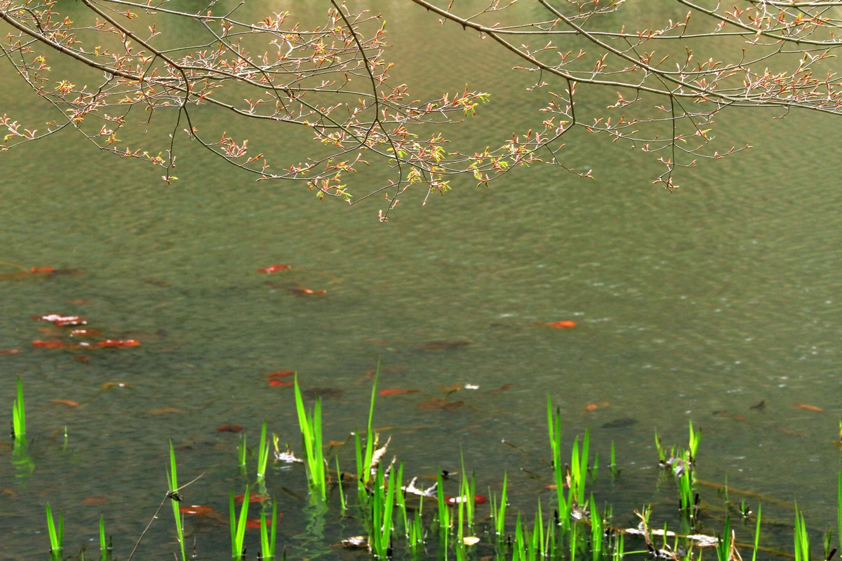 c0104227_8554161.jpg
