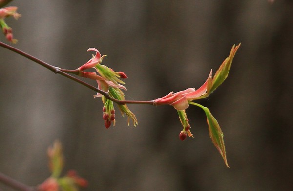 c0104227_994055.jpg