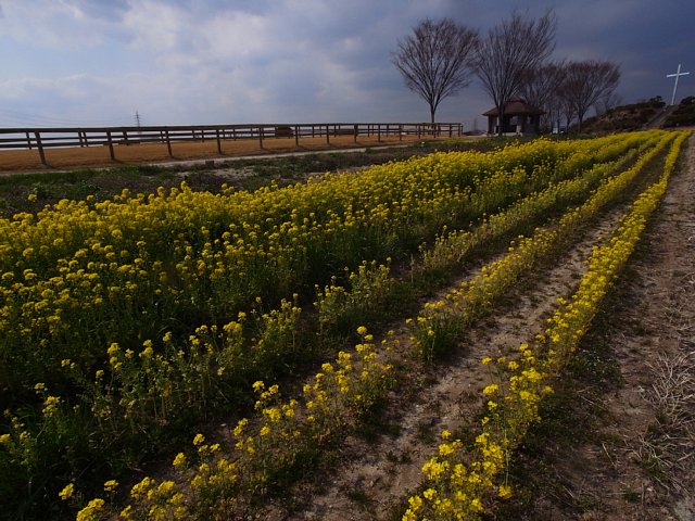 b0134829_21195241.jpg