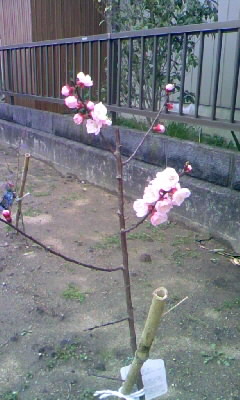 f0032434_22291398.jpg