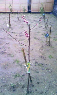f0032434_22303223.jpg