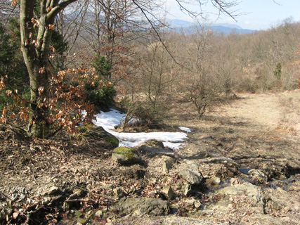 f0234936_742169.jpg