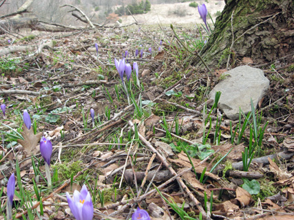 f0234936_7431441.jpg