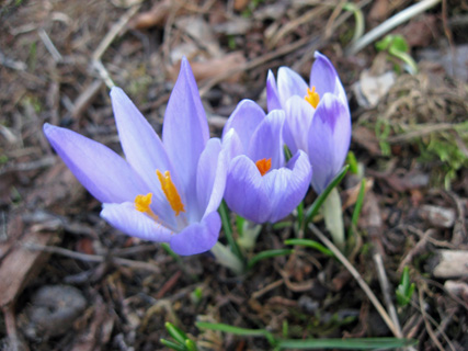 f0234936_7433961.jpg