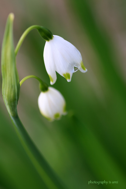 e0083238_20113179.jpg