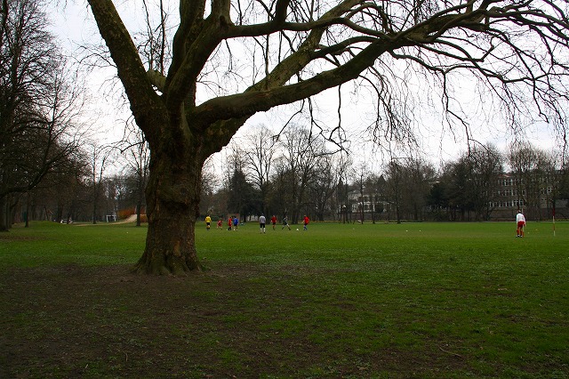 c0153740_3441299.jpg