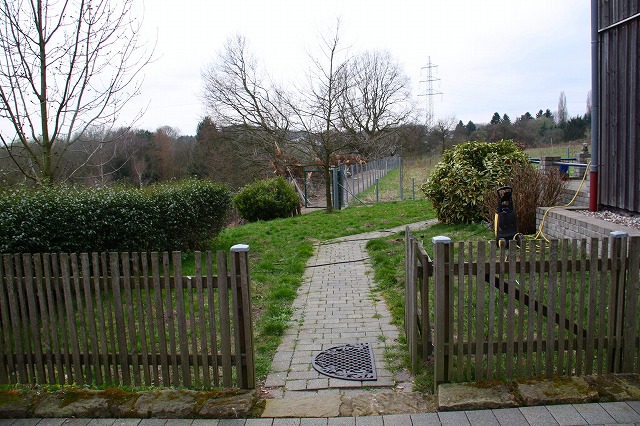 c0153740_425531.jpg