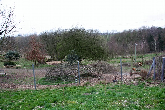 c0153740_455835.jpg