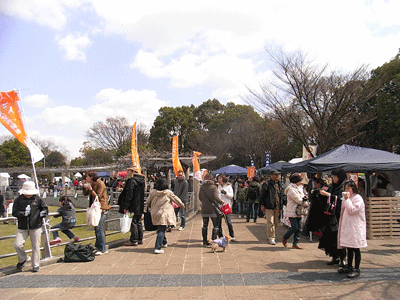 f0209541_23223247.gif