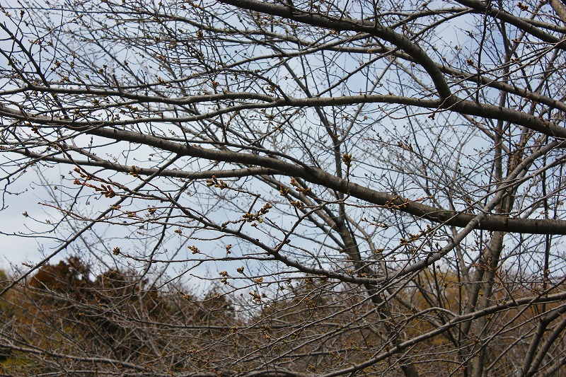 e0023643_21463056.jpg