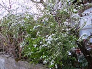 f0213347_2114787.jpg
