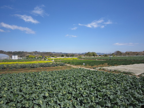 d0194759_18125476.jpg