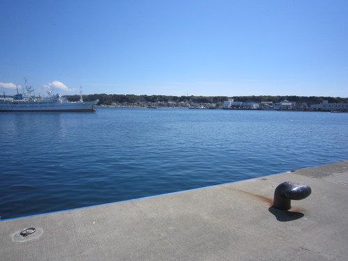 d0194759_1846751.jpg